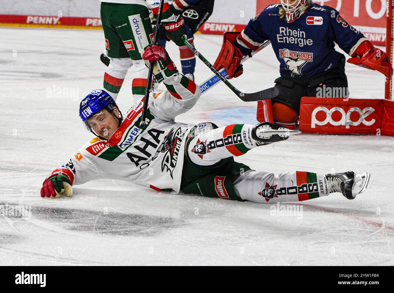 Cologne, Rhénanie du Nord-Westphalie, Allemagne. 8 décembre 2024. L'attaquant des panthères Augsburger CODY KUNYK (20 ans) tombe sur la glace lors du match 24 de la Deutsche Eishockey Liga (Ligue allemande de hockey sur glace) entre les Koelner haie (requins de Cologne) et les panthères Augsburger dans la Lanxess Arena de Cologne, Allemagne, le 8 décembre 2024. (Crédit image : © Kai Dambach/ZUMA Press Wire) USAGE ÉDITORIAL SEULEMENT! Non destiné à UN USAGE commercial ! Banque D'Images