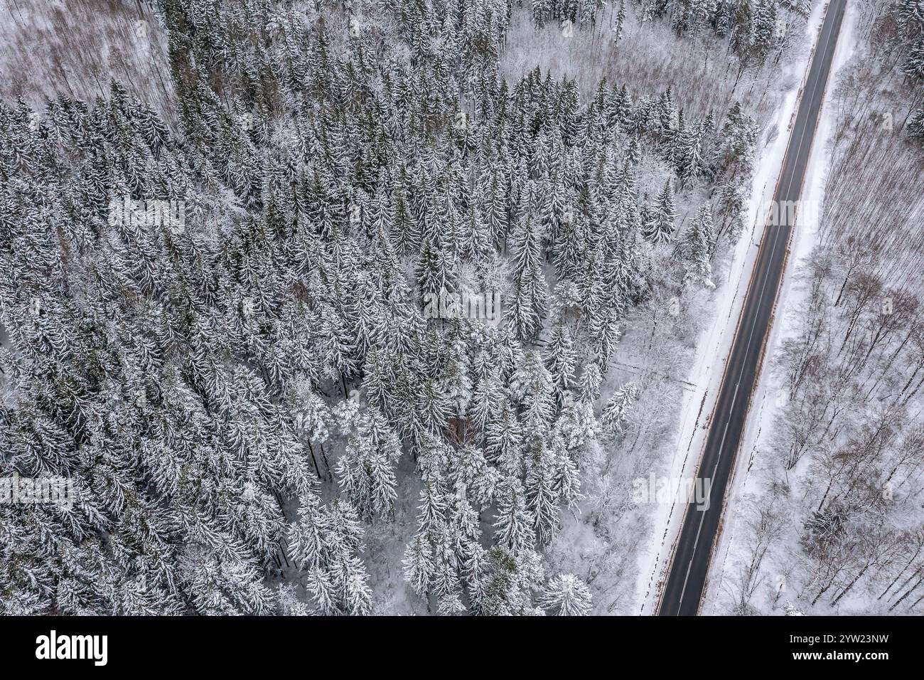 route de campagne droite à travers une forêt enneigée d'hiver. vue aérienne depuis un drone volant. Banque D'Images