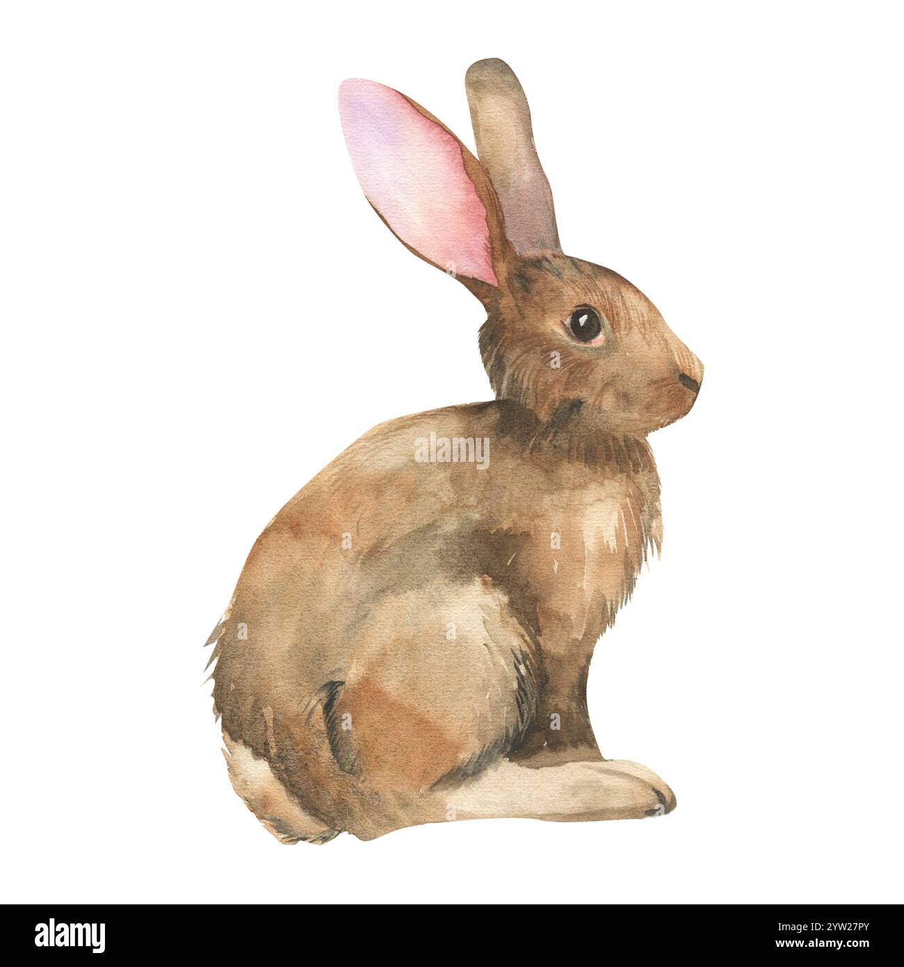 Illustration aquarelle lapin de Pâques. Lapin brun réaliste dessiné à la main, lièvre de forêt sauvage avec de longues oreilles, clipart animal pour livre, carte de voeux, fest Banque D'Images