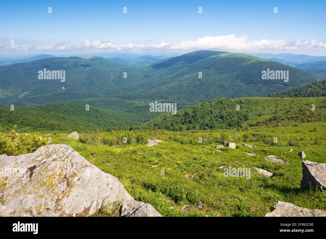 paysage montagneux des carpates en été. voyage ukraine. paysage alpin avec collines herbeuses. fond vert de nature. explorez un endroit magnifique Banque D'Images