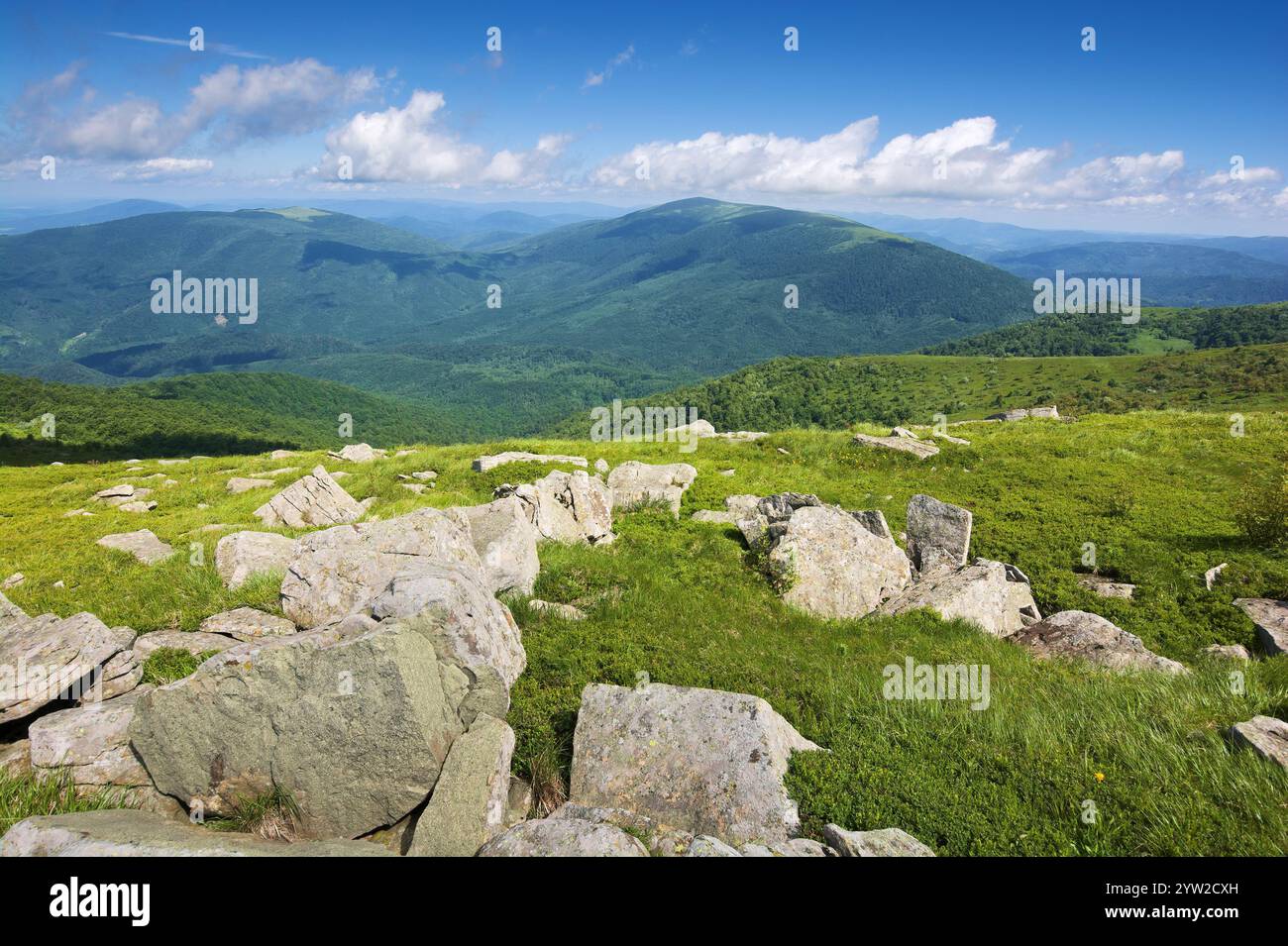 paysage montagneux des carpates en été. paysage alpin avec collines herbeuses. fond vert de nature Banque D'Images