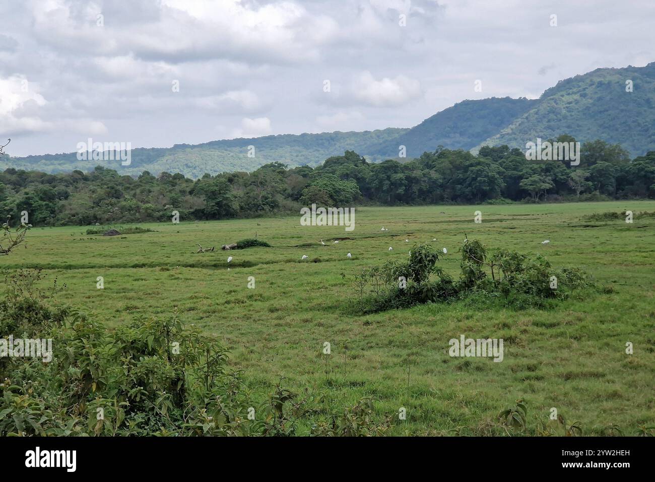 Daressalam Themenfoto : Reise, Afrika, Tansania, Kilimandscharo, 07.12.2024 Der Arusha Nationalpark ist die Heimat einer vielfaelltigen Tierwelt, hier Flamingos Themenfoto : Reise, Afrika, Tansania, Kilimandscharo, 07.12.2024 *** Dar es Salaam Theme photo Travel, Africa, Tanzania, Kilimanjaro, 07 12 2024 Arusha National Park, Juxerfoto Juxerxerjaro Variety of Africa, Justino, Jipso 2024-Jipo, Juxergea, Justino Banque D'Images
