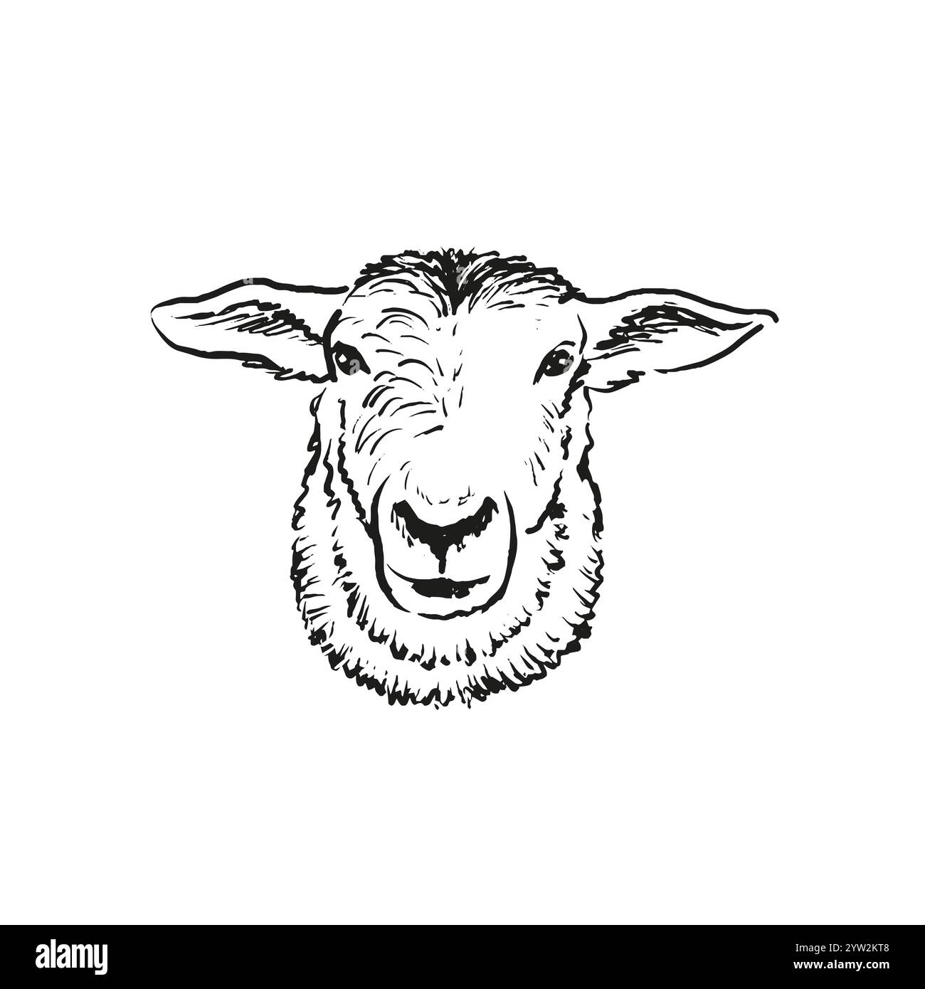 Illustration dessinée à la main de la tête de mouton Illustration de Vecteur