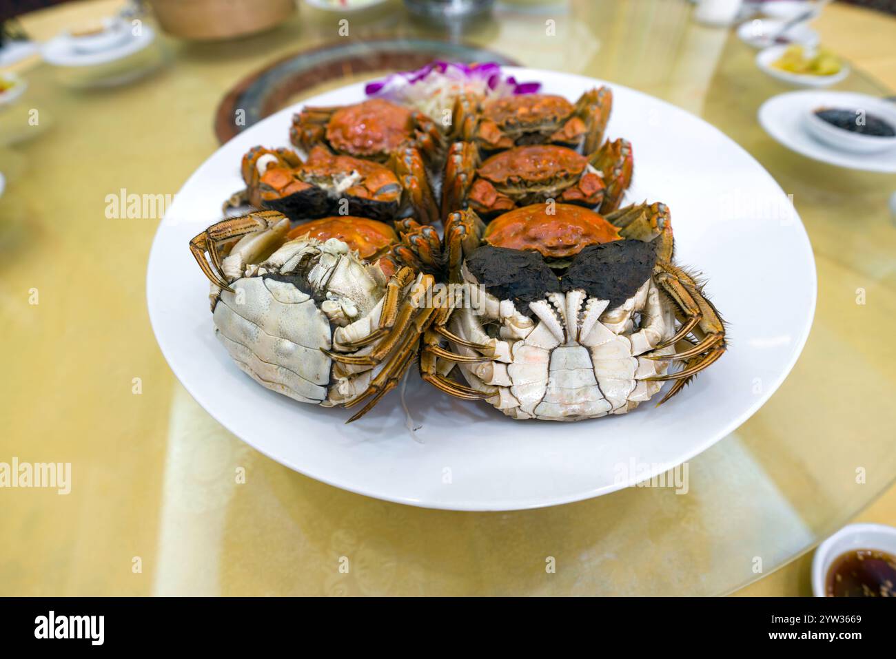 Femelle vs mâle crabe chinois. Le crabe mâle a un ventre en forme de cloche avec un oeuf crémeux et doré. Pendant ce temps, le crabe femelle a un ventre rond avec un re Banque D'Images