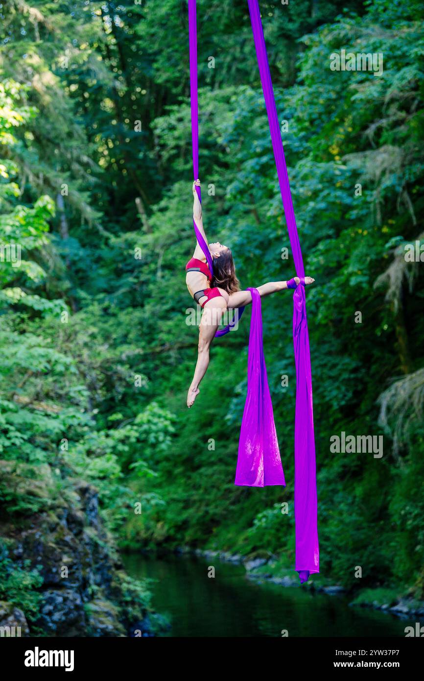 Un interprète de soie aérienne exécute une pose avec un tissu violet sur un fond de forêt luxuriante, aux États-Unis Banque D'Images