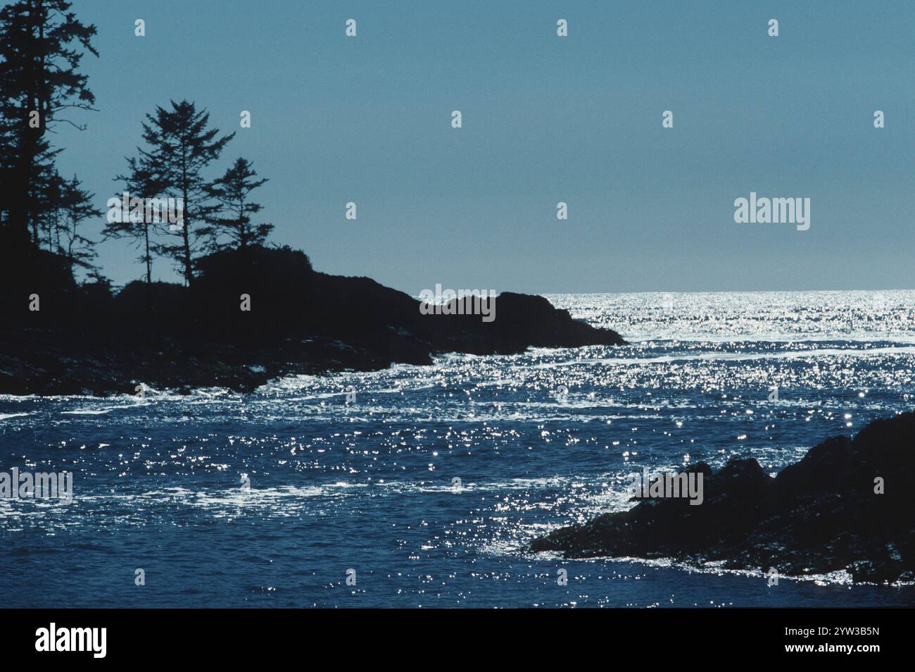 Côte Ouest canadienne en lumière du soir, île de Vancouver, Colombie-Britannique, Canada, Amérique du Nord Banque D'Images