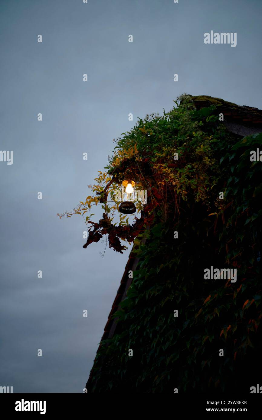 Un lampadaire illuminé est accroché à un bâtiment couvert de lierre vert sous un ciel sombre, rivière Moselle, Allemagne Banque D'Images