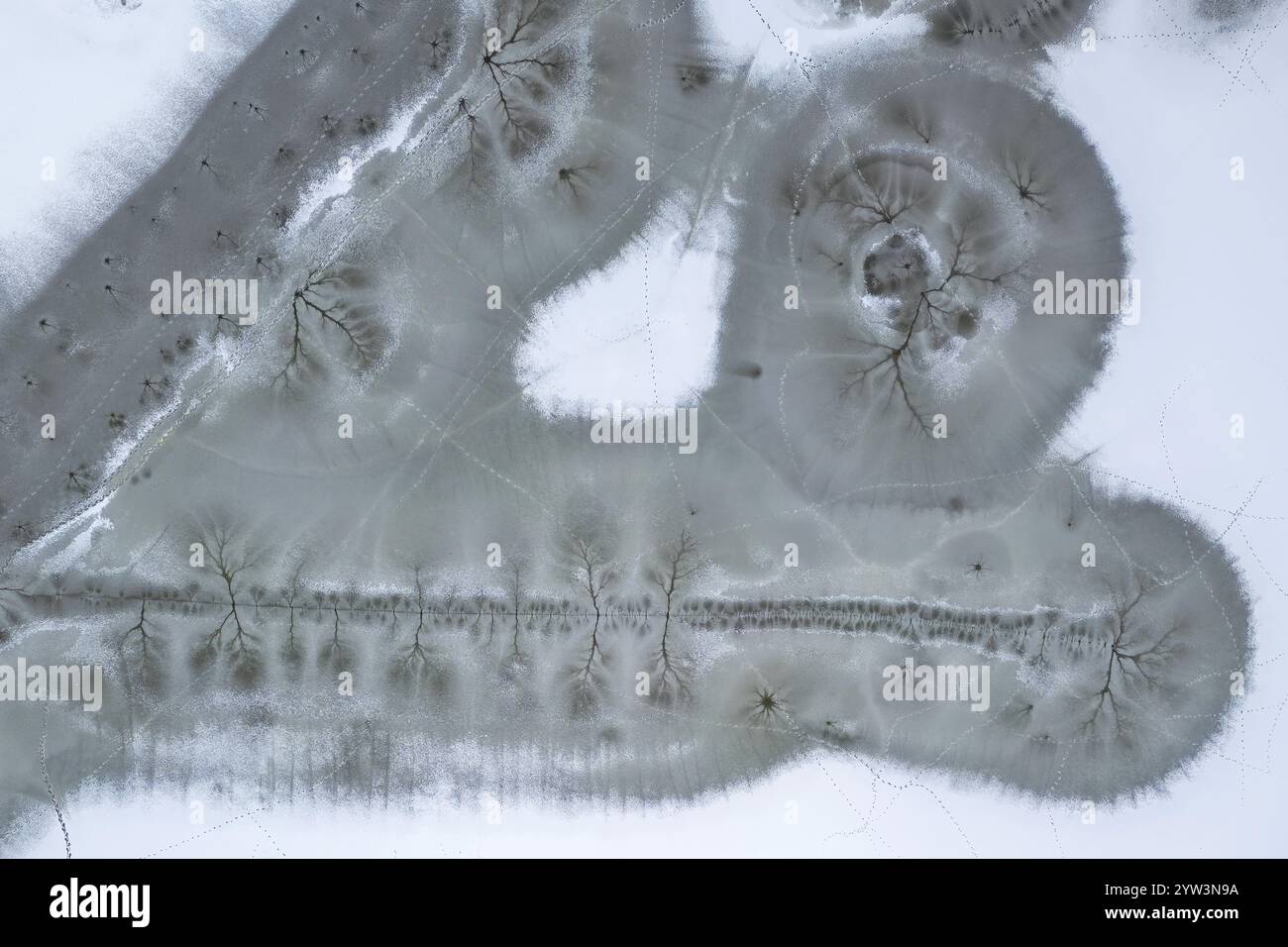 Vue aérienne, paysage de lac, lit de roseaux, zone inondée, biotope, habitat, plaine inondable de l'Elbe, paysage de plaine inondable, cours de rivière, delta, fissures dans la glace, Banque D'Images