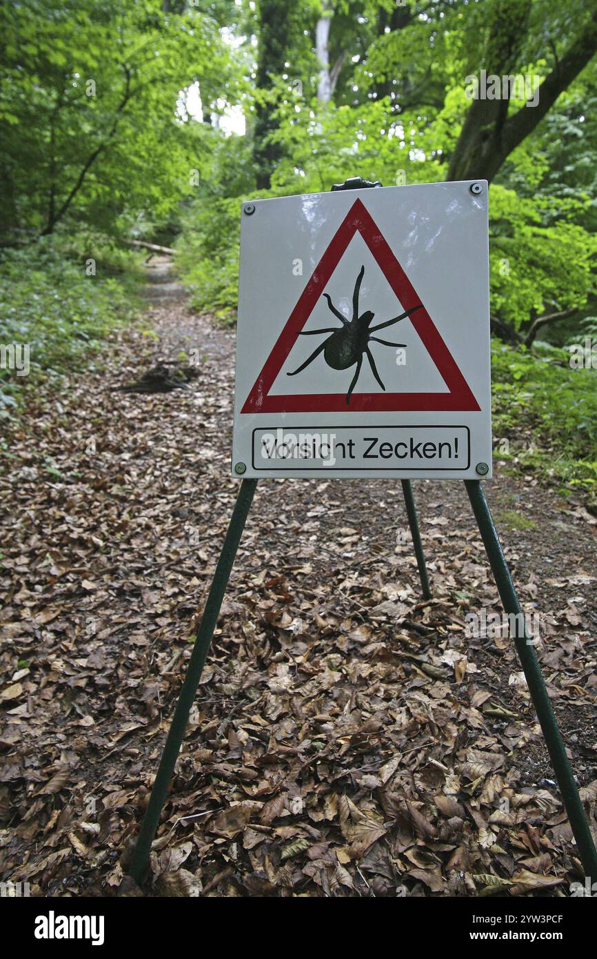 Un randonneur craint une morsure de tique, signe d'avertissement, tiques d'avertissement, insectes Hesse, République fédérale d'Allemagne Banque D'Images