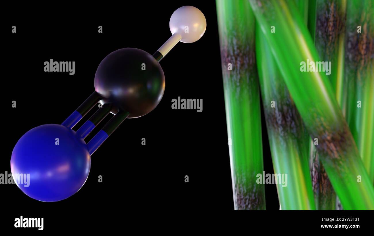 Rendu 3d du bambou, il contient des glycosides cyanogéniques, qui peuvent se décomposer en cyanure d'hydrogène (HCN). Banque D'Images