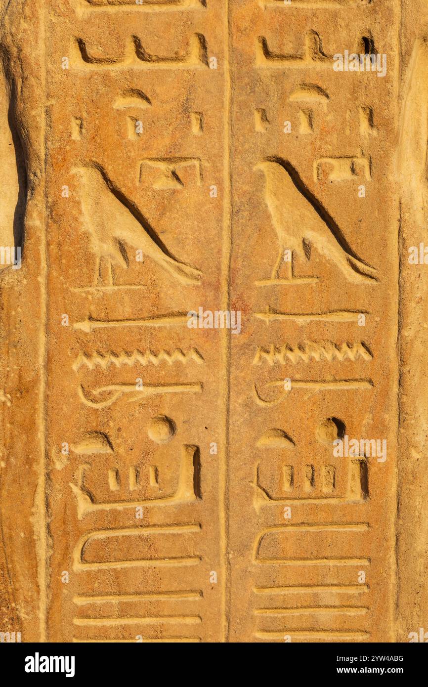 Hiéroglyphes sur le mur, ancien musée égyptien en plein air du temple de Karnak, El-Karnack, Louxor, Égypte Banque D'Images