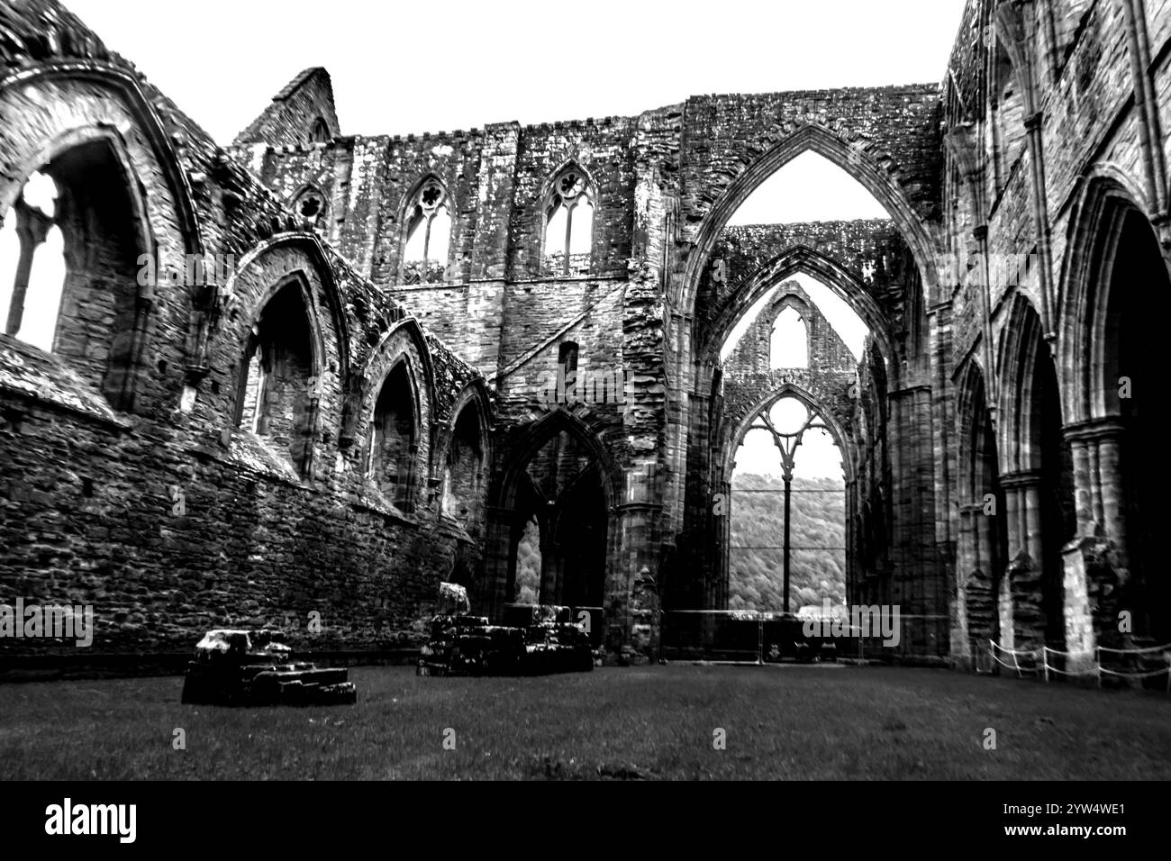 Vue spectaculaire en noir et blanc depuis les ruines de l'église de l'abbaye de Tintern au pays de Galles Banque D'Images