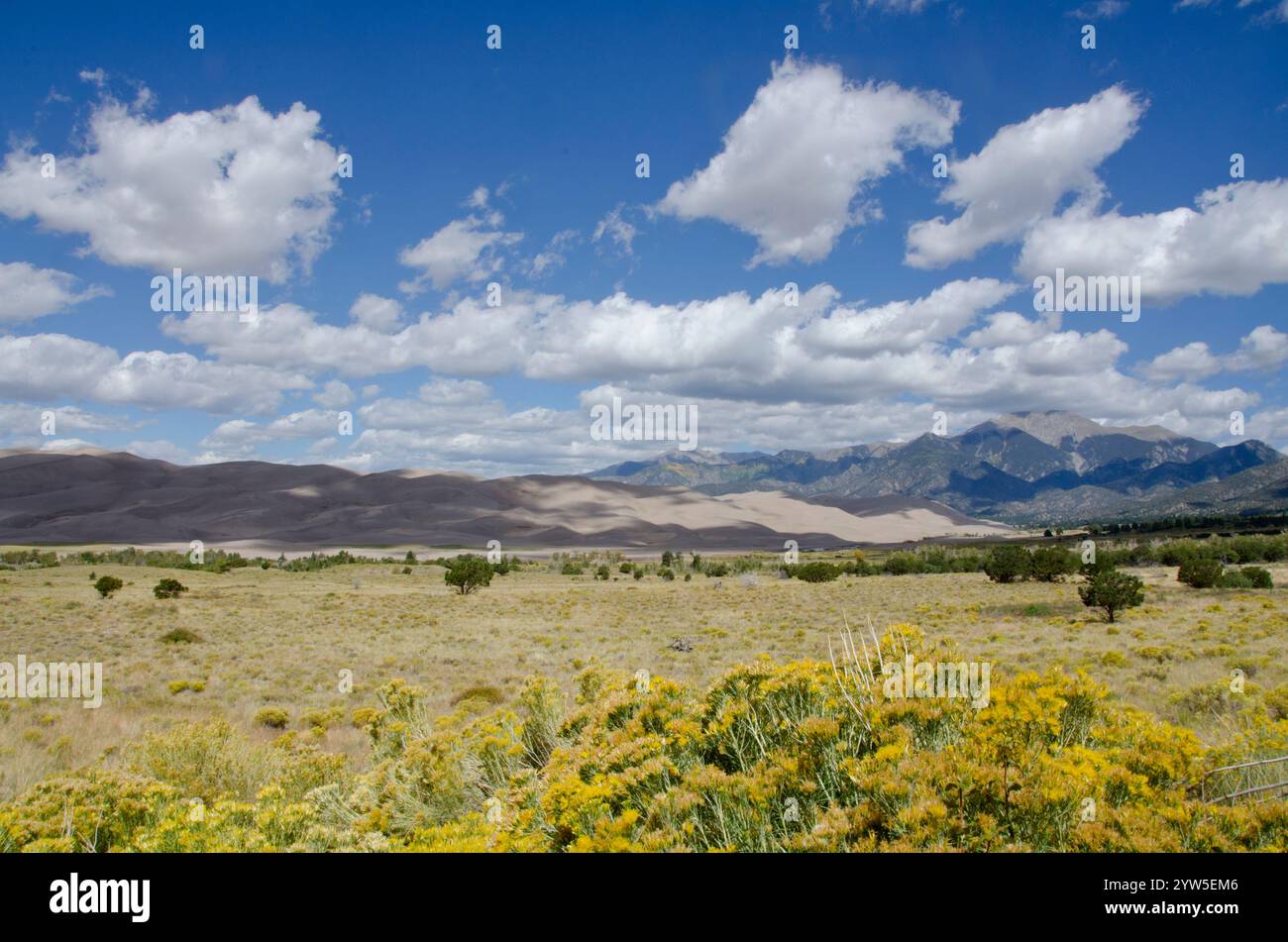 Le parc national des Great Sand Dunes se trouve dans la vallée de San Luis au Colorado, le long des pentes occidentales des montagnes Sangre de Cristo. Banque D'Images