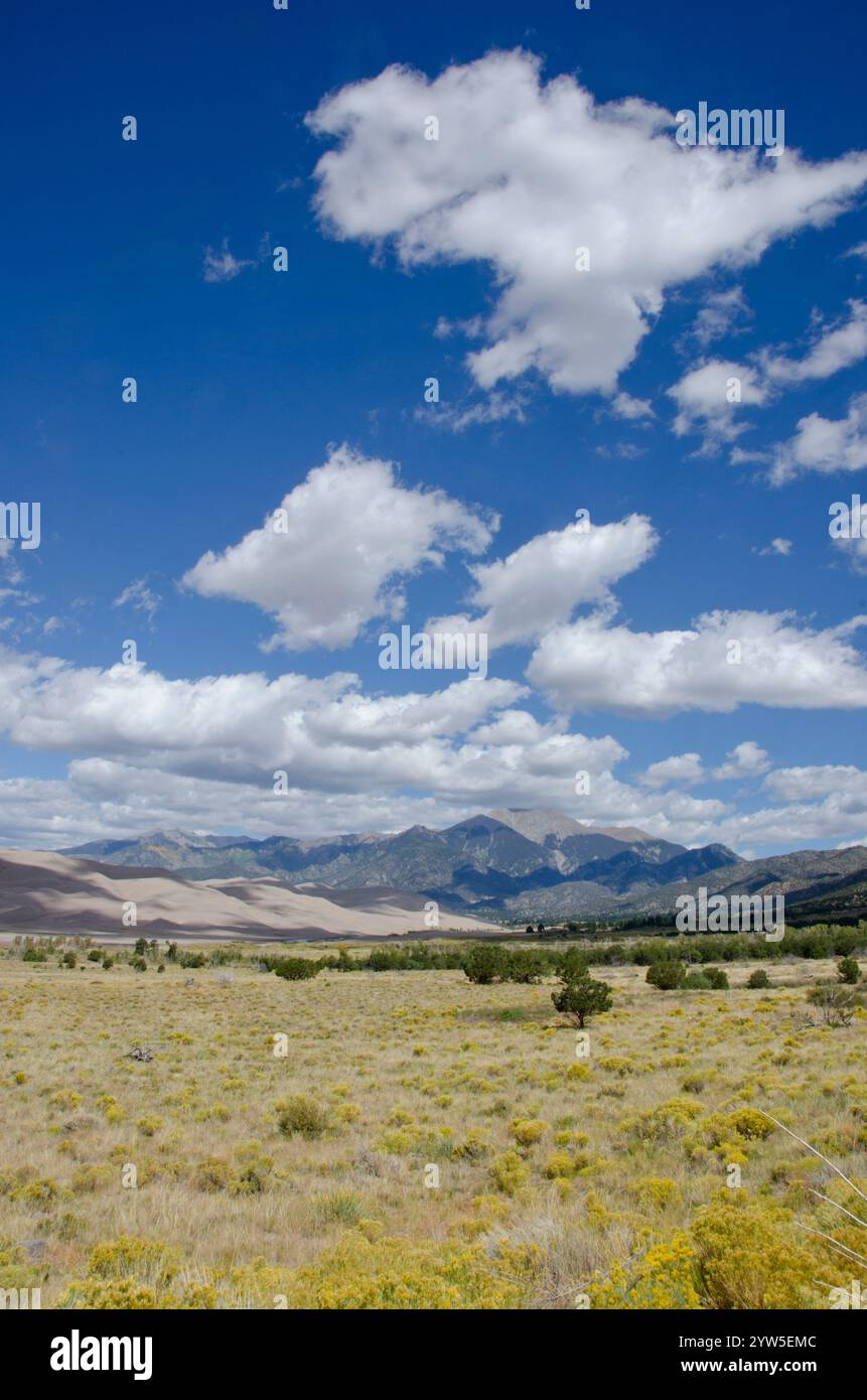 Le parc national des Great Sand Dunes se trouve dans la vallée de San Luis au Colorado, le long des pentes occidentales des montagnes Sangre de Cristo. Banque D'Images