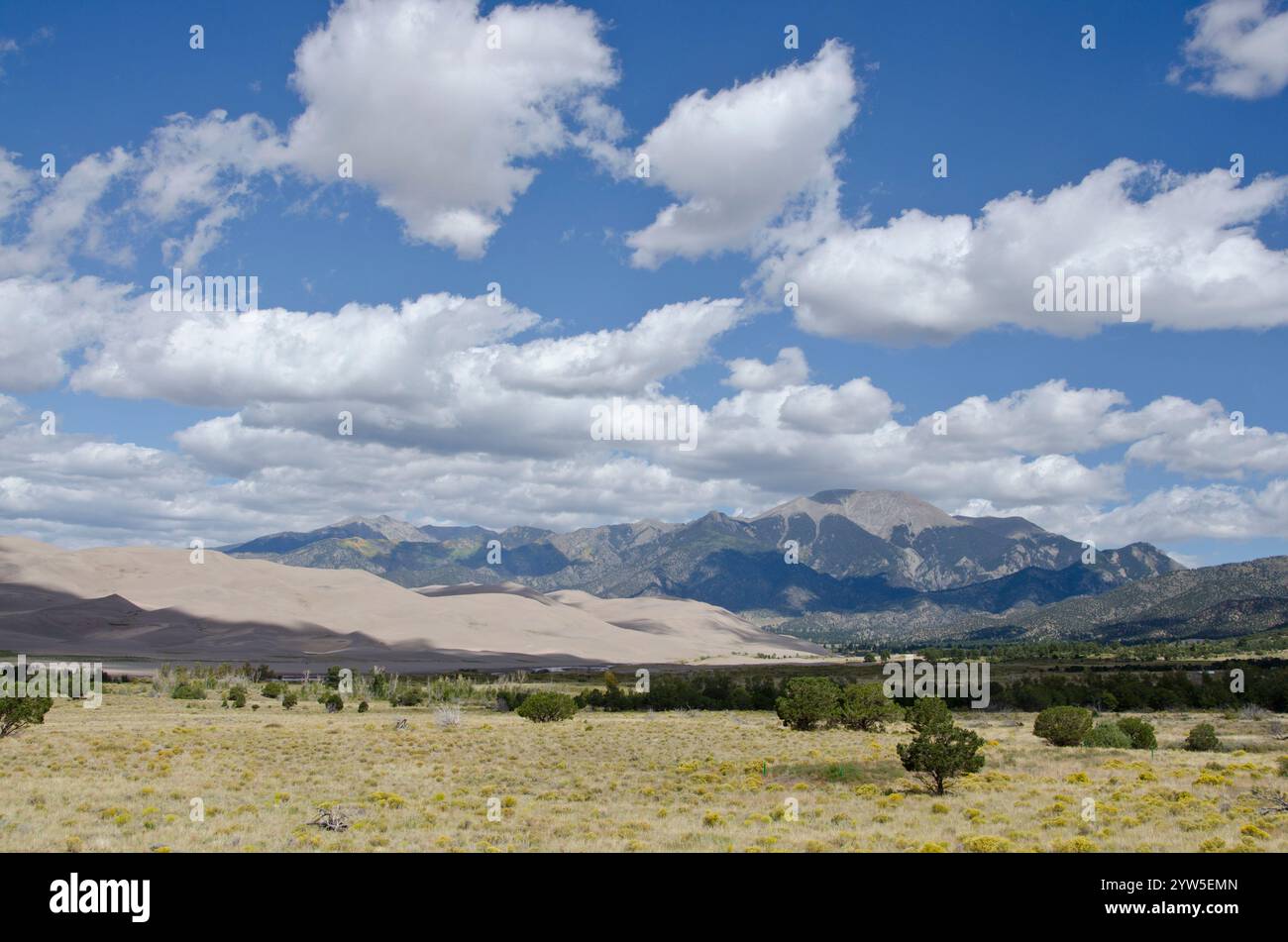 Le parc national des Great Sand Dunes se trouve dans la vallée de San Luis au Colorado, le long des pentes occidentales des montagnes Sangre de Cristo. Banque D'Images