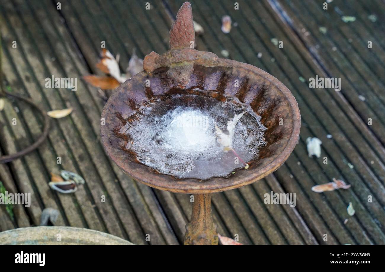 Bain d'oiseau de jardin avec de l'eau gelée, glace. Banque D'Images