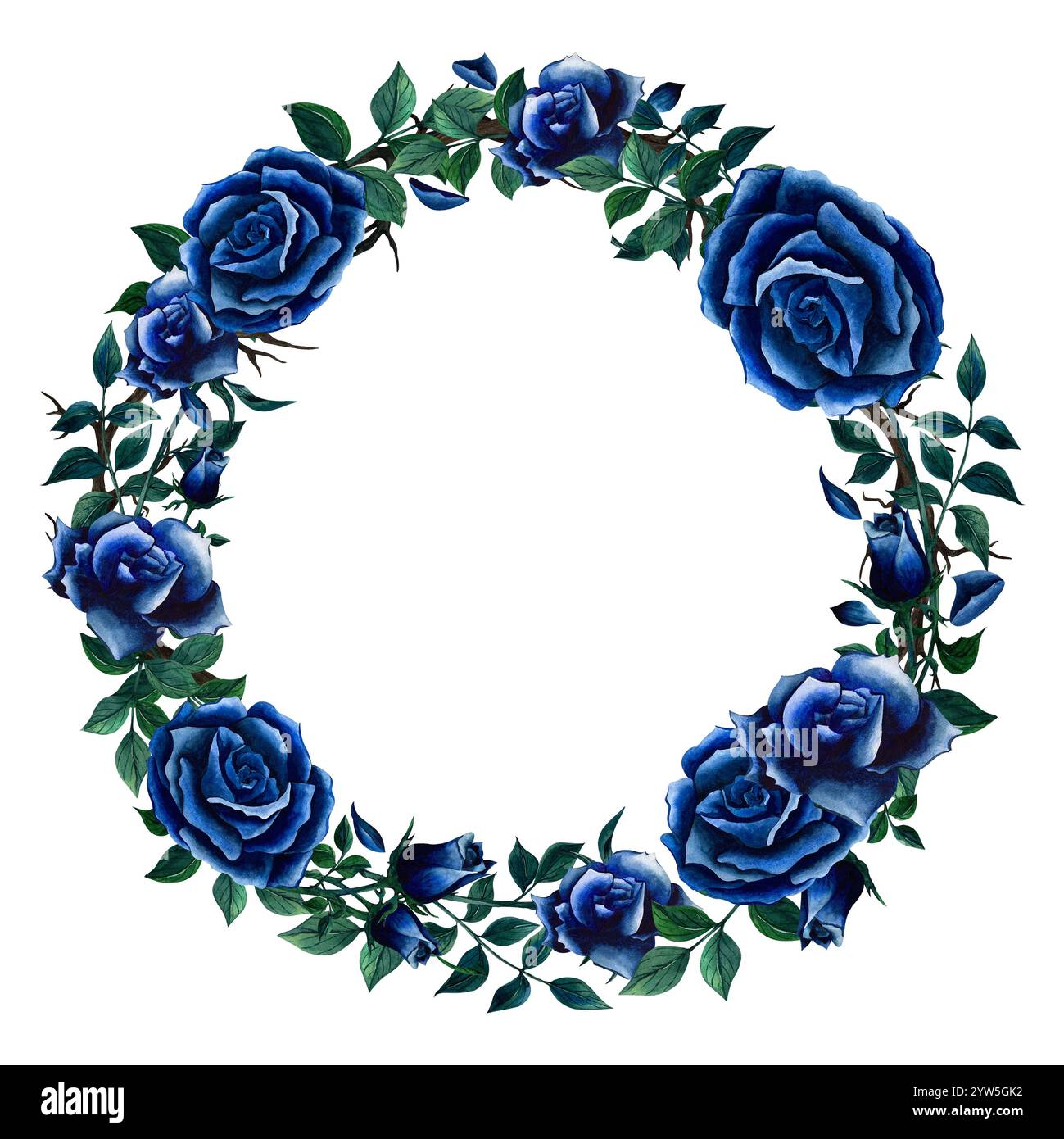 Couronne florale avec des roses bleues et des feuilles peintes à l'aquarelle. Cadres d'illustration dessinés à la main avec fleur et feuillage isolent sur fond blanc. Bo Banque D'Images