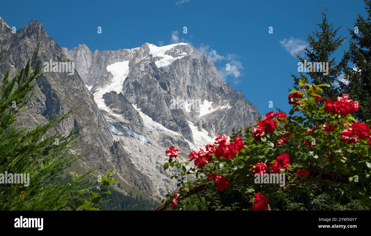 Le massif des Grands Jorasses d'Entrèves est situé dans la vallée des rosses - Val Ferret en Italie. Banque D'Images