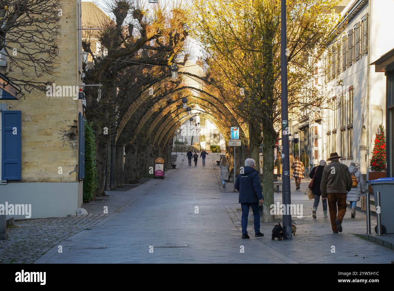 Ruelle avec décoration de Noël voûtée en hiver, Valkenburg, Limbourg, pays-Bas. Banque D'Images