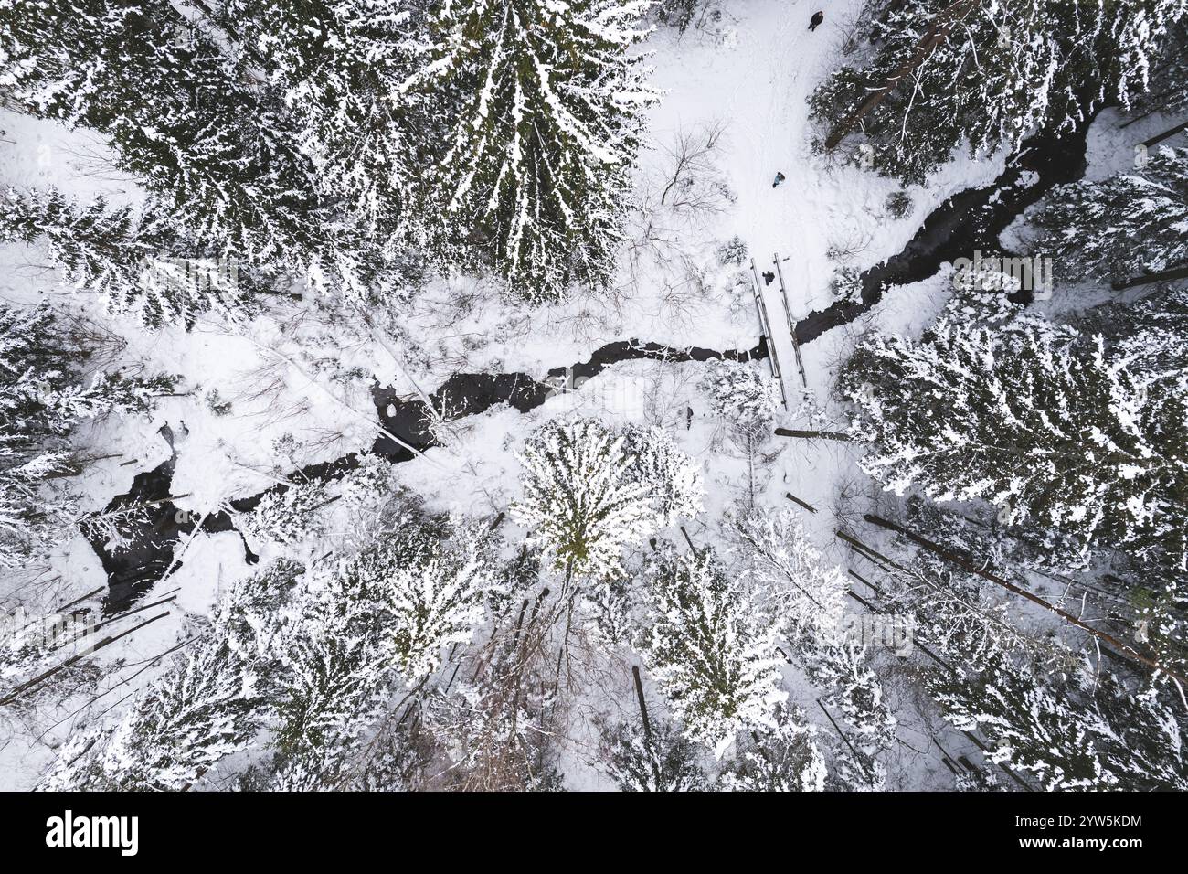 Vue de dessus de la forêt gelée et de la rivière froide en hiver. Les arbres sont couverts de neige peu et pont à travers la rivière, paysage de conte de fées Banque D'Images