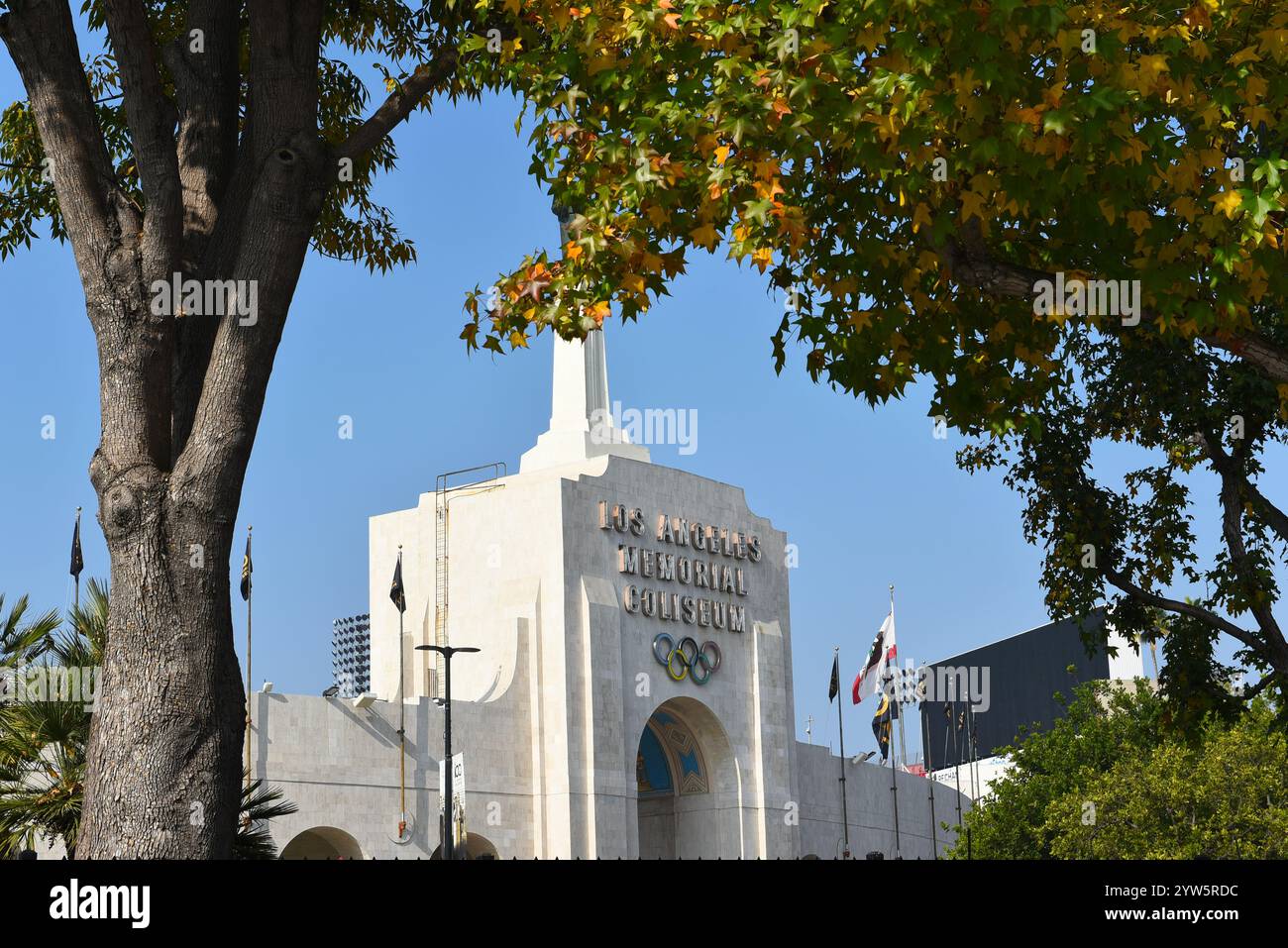 LOS ANGELES, CALIFORNIE - 4 décembre 2024 : le LA Memorial Coliseum, avec des anneaux olympiques vus à travers les arbres d'automne. Banque D'Images