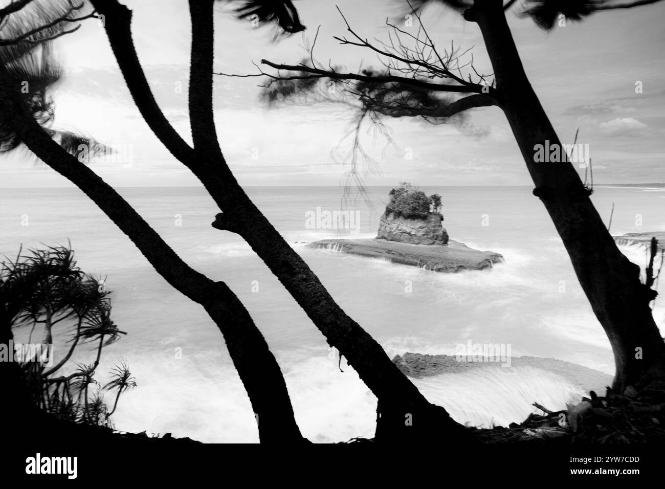 indonésie beauté paysage rizières dans le nord de bengkulu naturel belle vue matinale de l'Indonésie des montagnes et de la forêt tropicale Banque D'Images