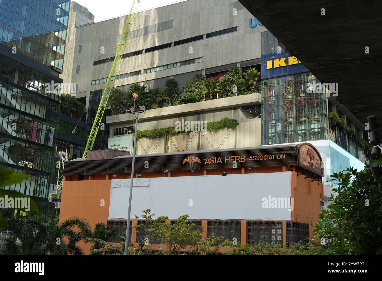 Bangkok, Thaïlande - 26 novembre 2024 : panneau dans le bâtiment de l'Association asiatique des herbes à Bangkok Banque D'Images