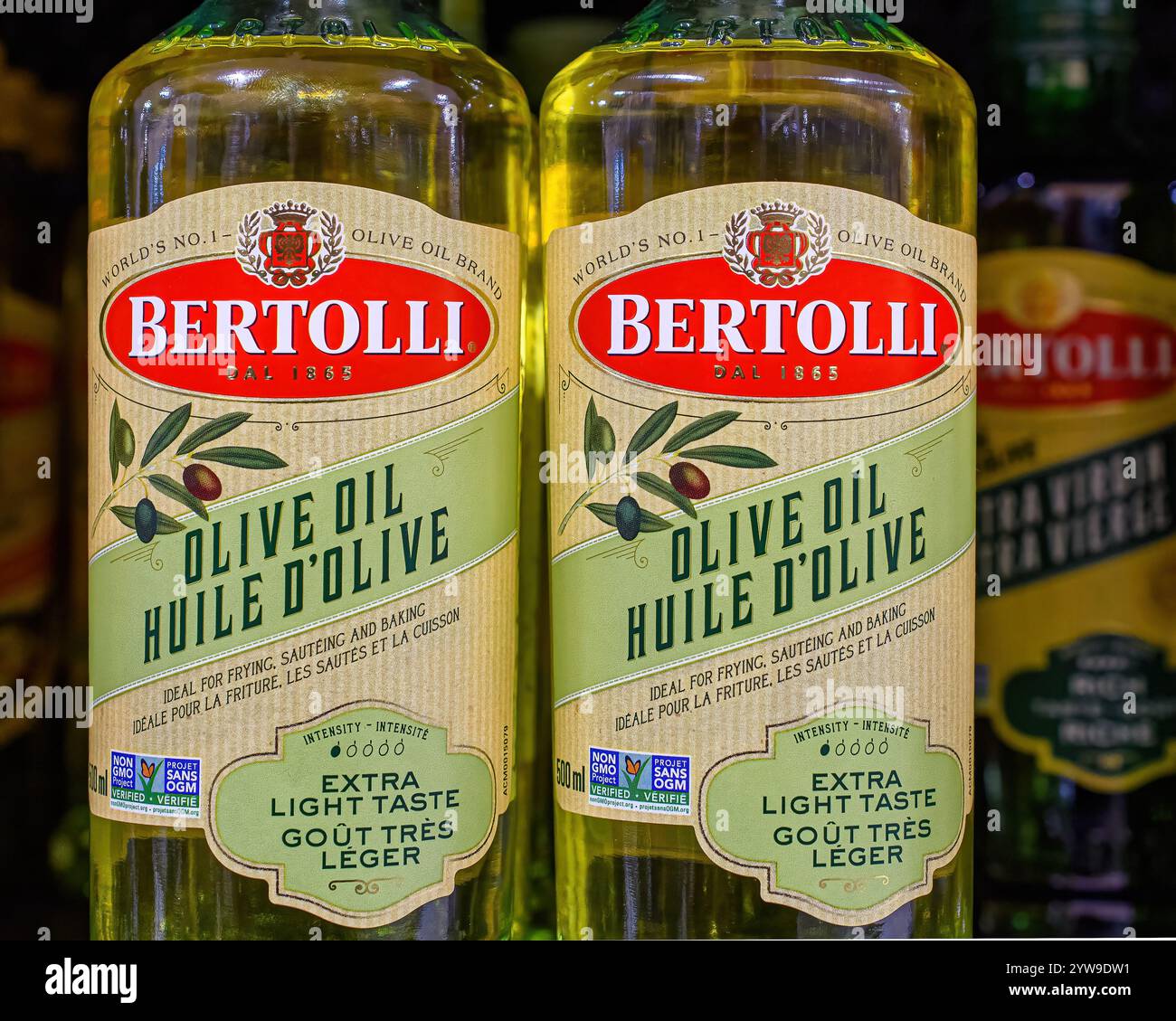 Toronto, Canada - 30 novembre 2024 : bouteilles et étiquette d'huile d'olive Bertolli dans un présentoir de détail. Banque D'Images