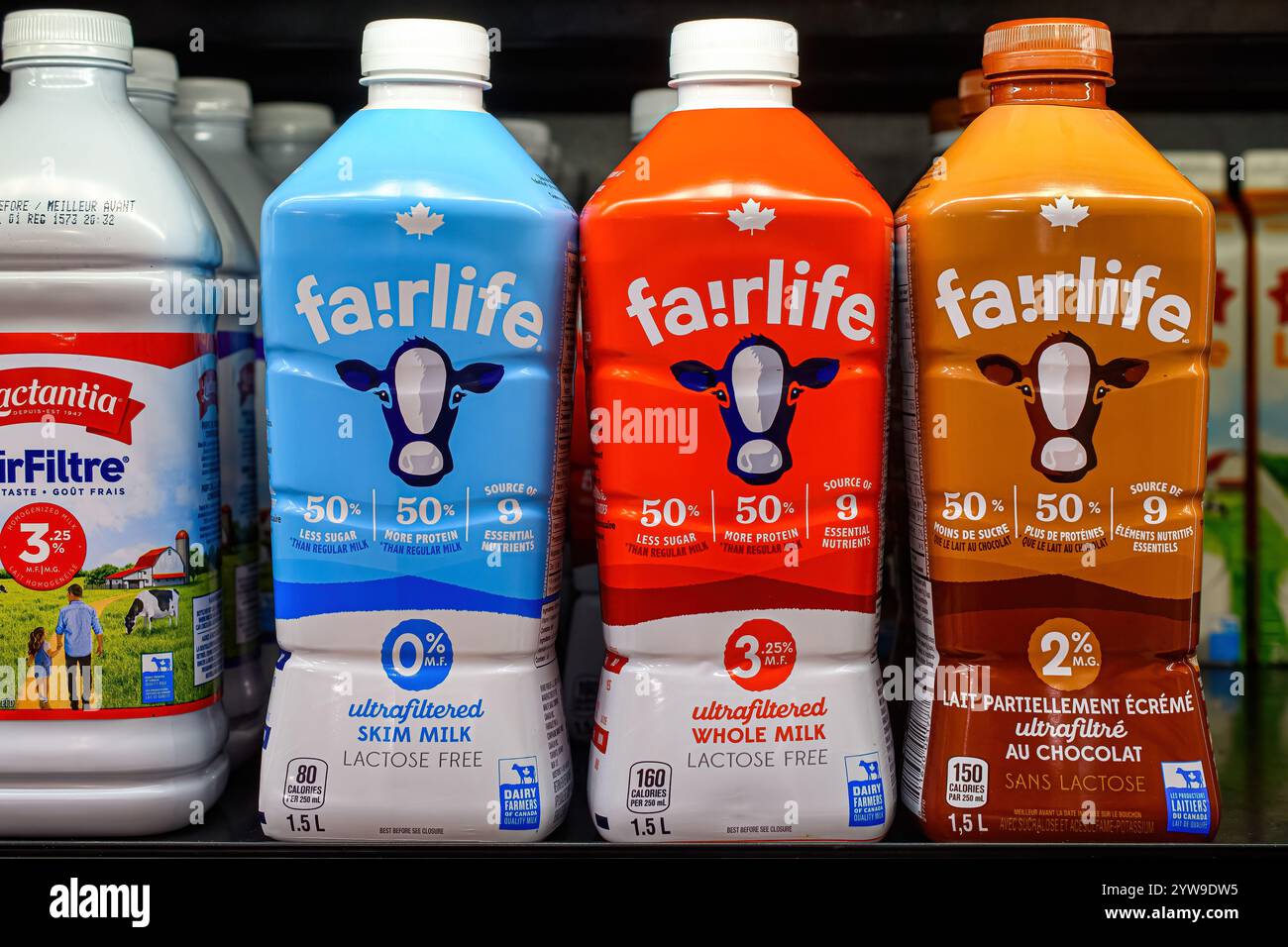 Toronto, Canada - 30 novembre 2024 : bouteilles en plastique et étiquette pour le lait Fairlife sur un présentoir de vente au détail. Banque D'Images
