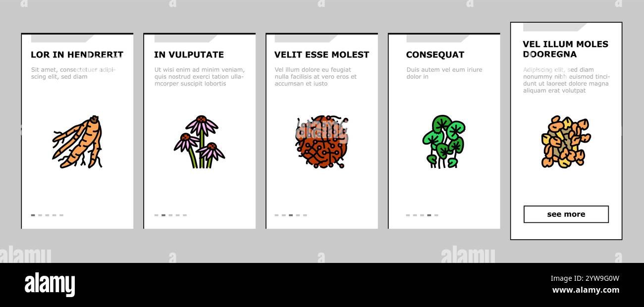 ayurvedic herbs médecine santé onboarding icônes set vecteur Illustration de Vecteur