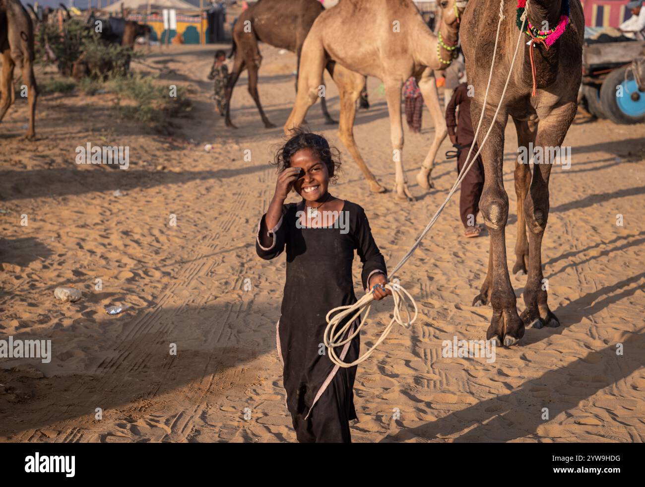 Camel Pushkar Fair Banque D'Images