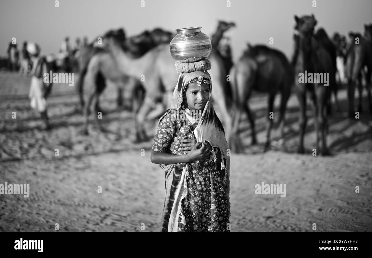 Camel Pushkar Fair Banque D'Images