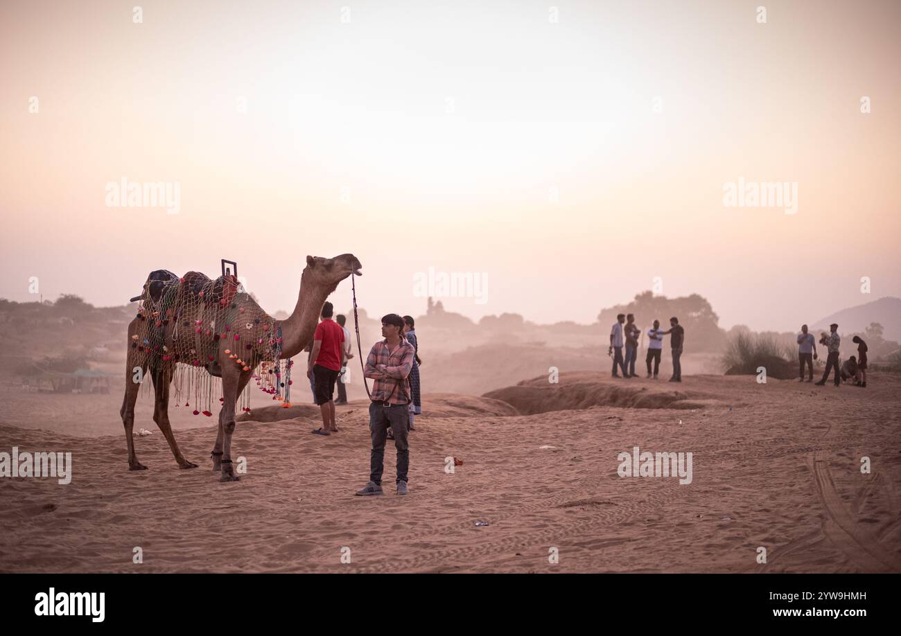 Camel Pushkar Fair Banque D'Images