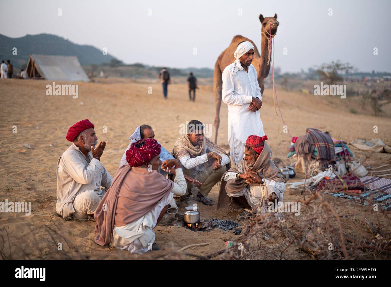 Camel Pushkar Fair Banque D'Images