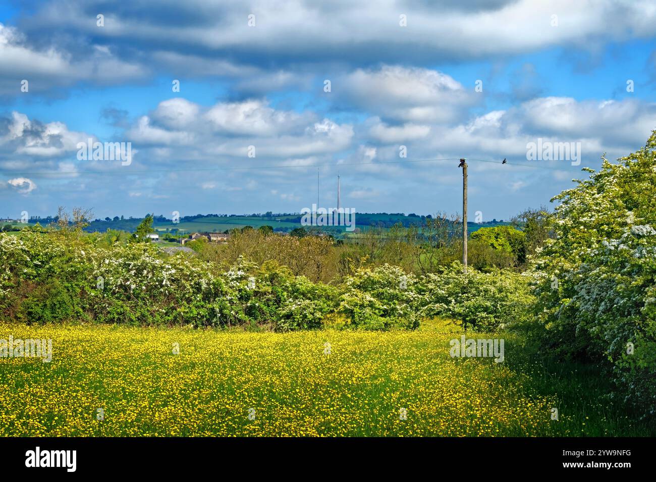 UK, West Yorkshire, Emley Moor Station de transmission de Hoylandswaine. Banque D'Images
