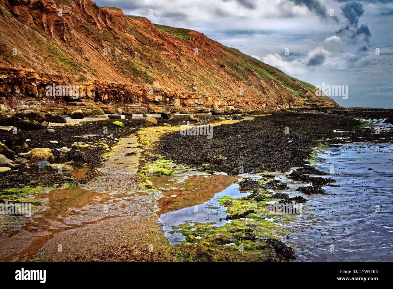 UK, North Yorkshire, Filey Brigg. Banque D'Images