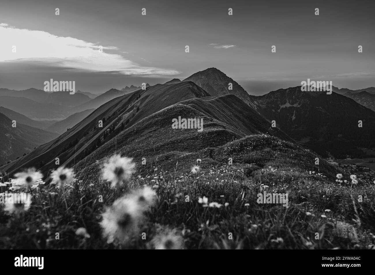 Randonnée sur la montagne Hoenig dans la vallée du Lechtal près de Berwang dans le Tyrol, Autriche, Europe Banque D'Images