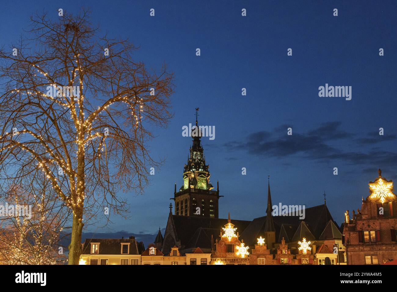 Scène de soirée avec arbre illuminé contre un ciel sombre et architecture urbaine, nimègue, pays-bas Banque D'Images
