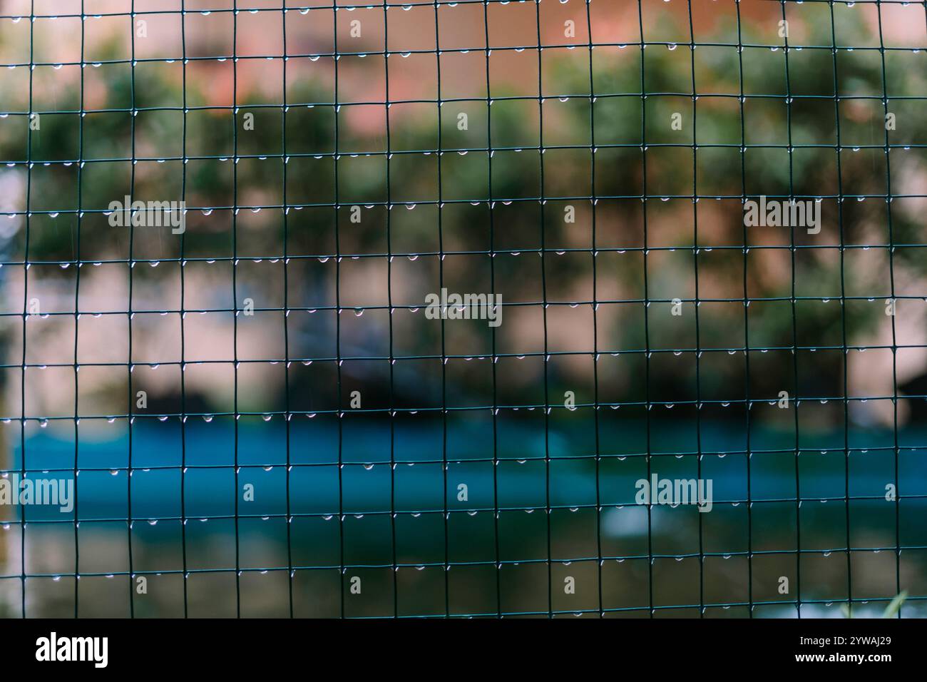 Filet grillagé imbibé de pluie, avec des gouttelettes d'eau suspendues à sa surface, capturant les conséquences d'une journée de pluie dans un ensemble industriel ou extérieur Banque D'Images