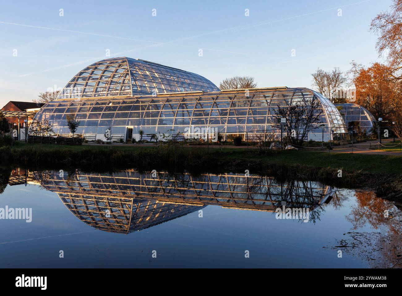 Les nouvelles serres de la flore, jardin botanique, Cologne, Allemagne. Die neuen Schaugewaechshaeuser der Flora, Botanischer Garten, Koeln, Allemagne Banque D'Images