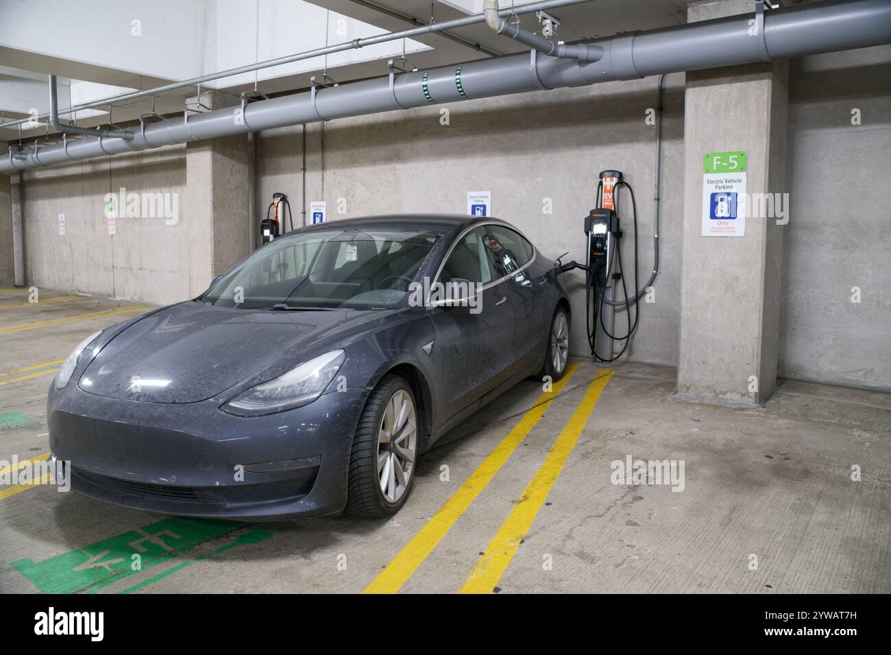 Une voiture électrique Tesla Model 3 à une station de recharge publique ChargePoint dans une structure de stationnement à Ann Arbor Michigan USA Banque D'Images