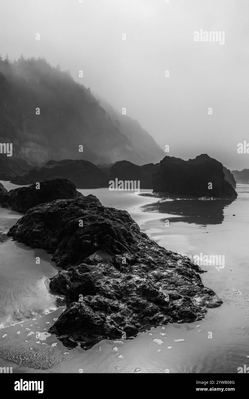 Oregon Coast au point de vue panoramique de Neptune State, Oregon, États-Unis Banque D'Images