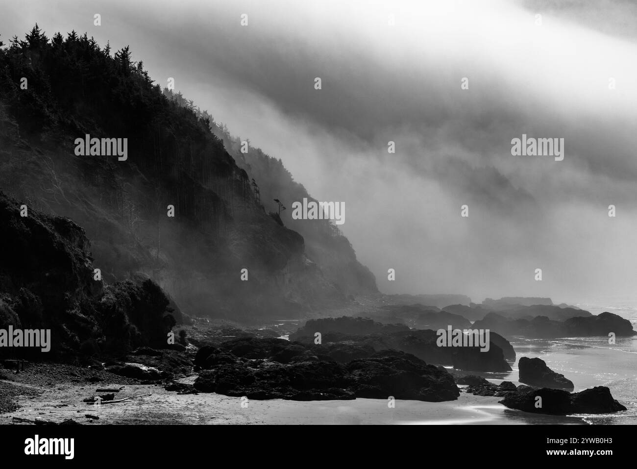 Oregon Coast vue depuis Strawberry Hill Wayside, Oregon, USA Banque D'Images