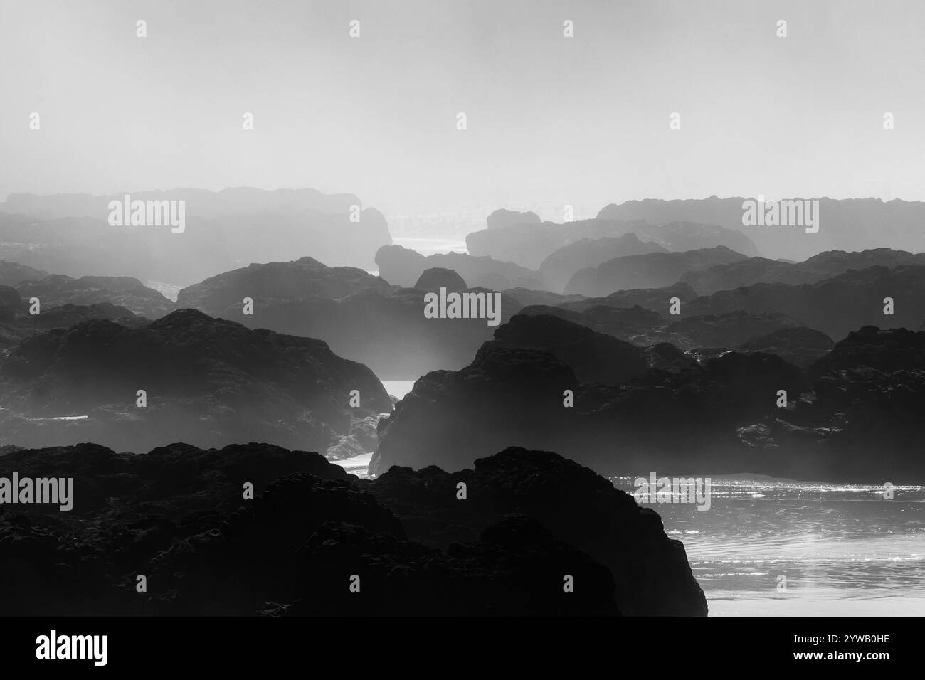 Oregon Coast vue depuis Strawberry Hill Wayside, Oregon, USA Banque D'Images