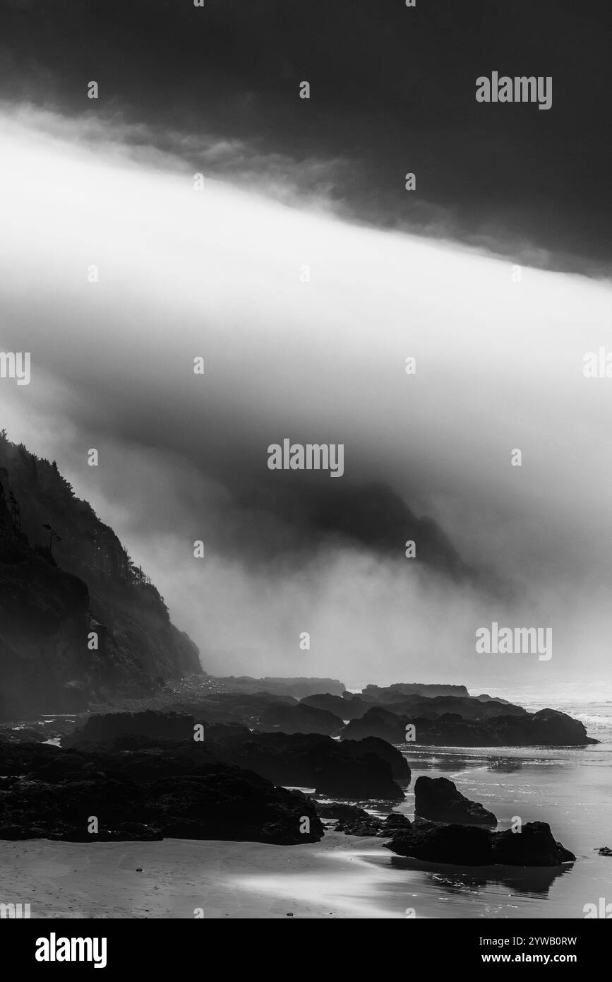 Oregon Coast vue depuis Strawberry Hill Wayside, Oregon, USA Banque D'Images