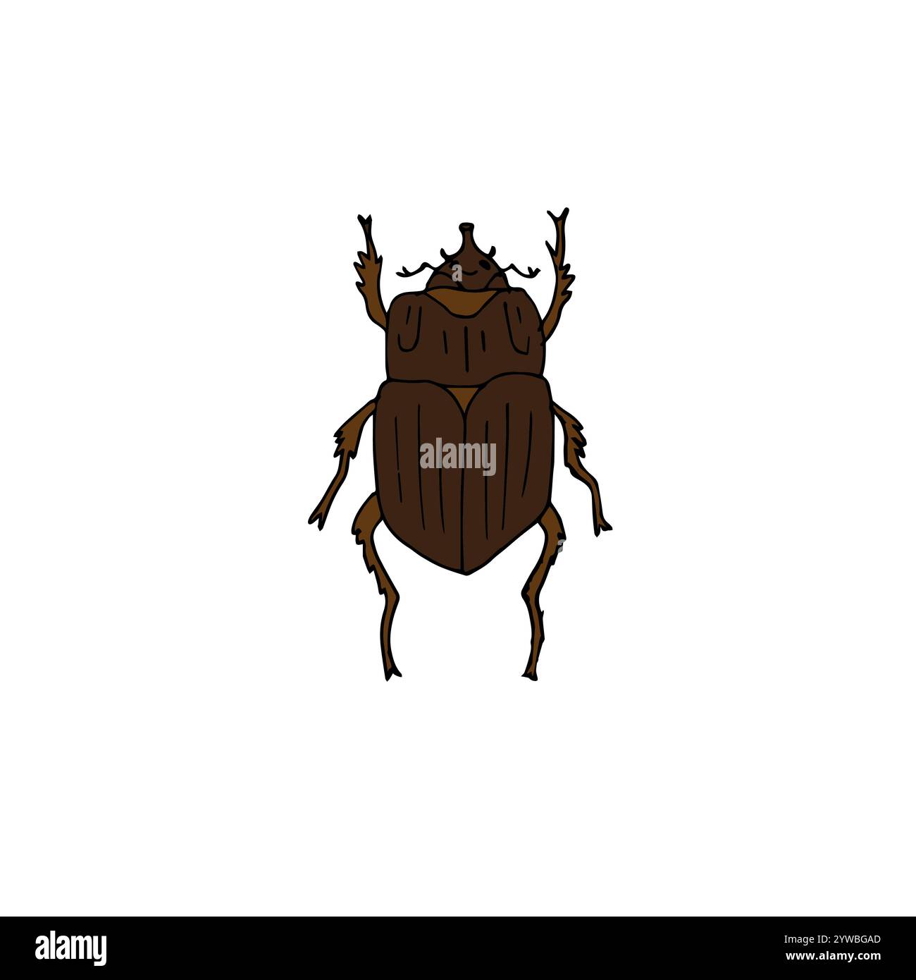 Vecteur dessin à la main doodle esquisse brun insecte coléoptère isolé sur fond blanc Illustration de Vecteur