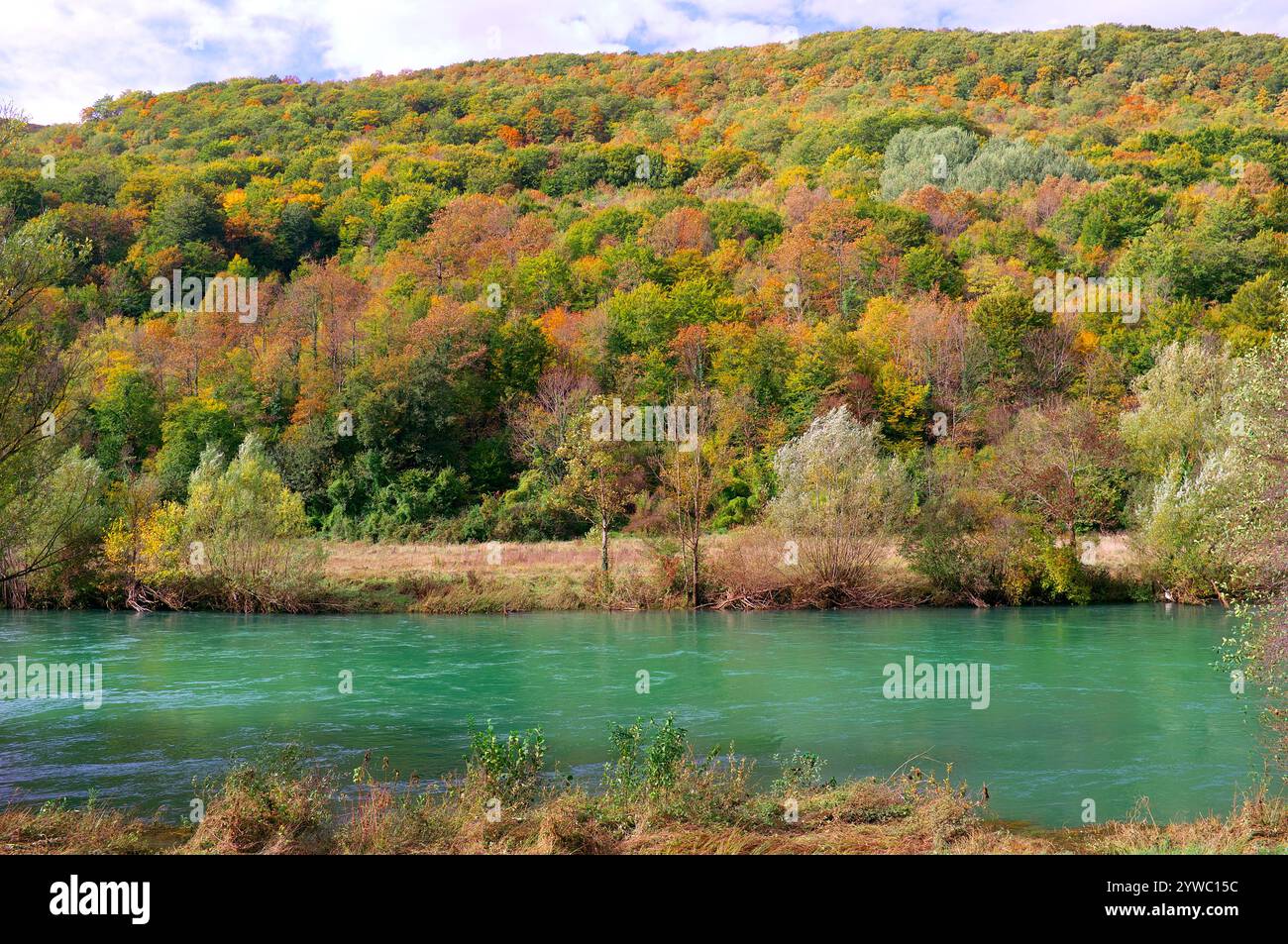 Débit d'eau émeraude de la rivière Una et de la forêt d'automne le long de la rive, Martin-Brod, Bosnie-Herzégovine Banque D'Images