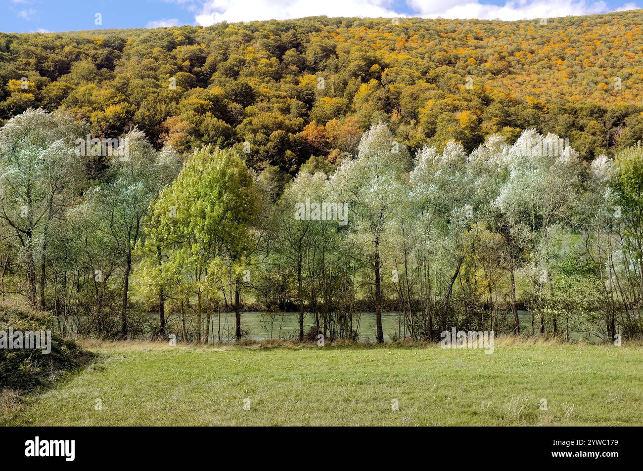 Feuillage automnal des bois le long de la rivière Una, Martin-Brod, Bosnie-Herzégovine Banque D'Images