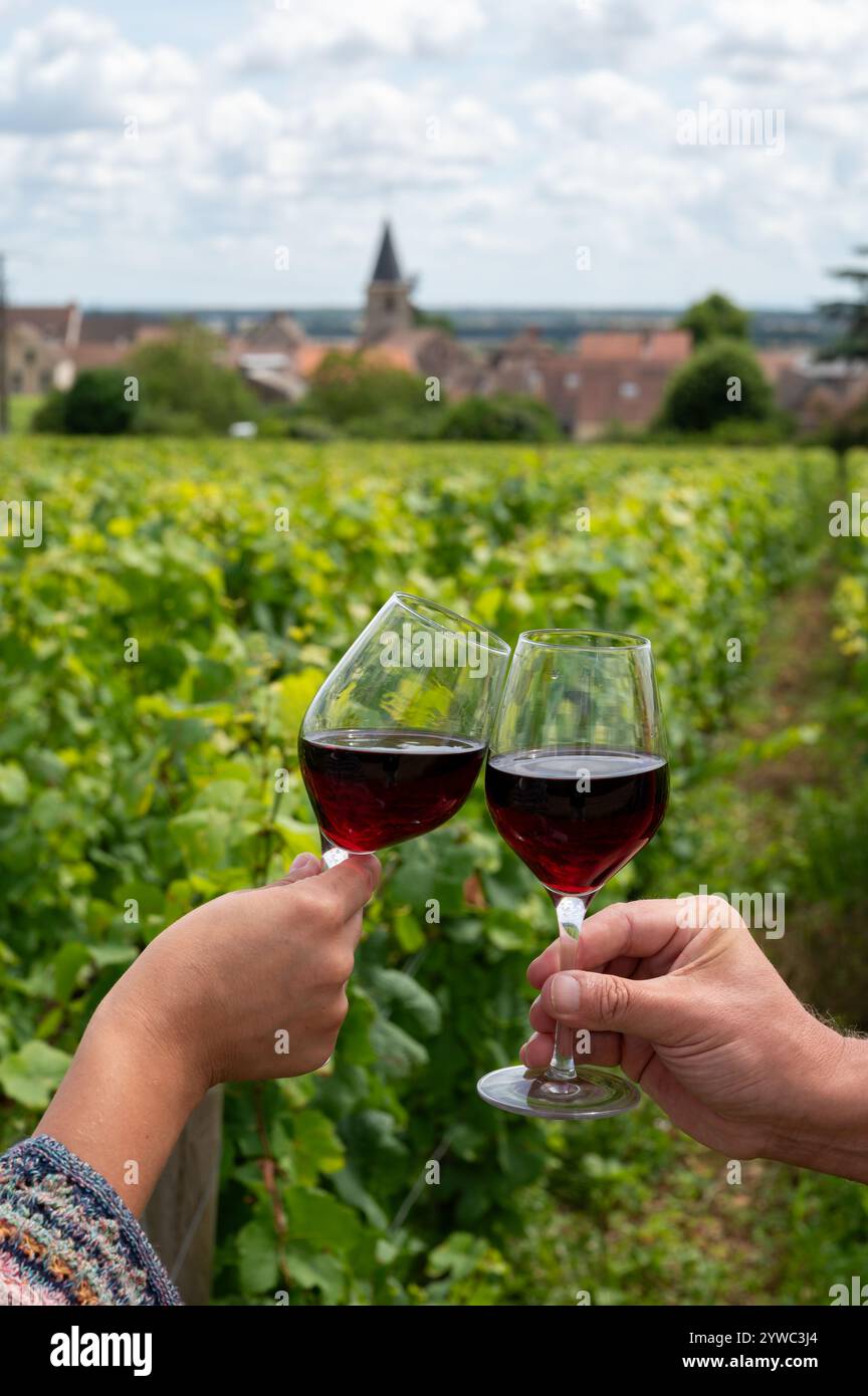 Boire du vin rouge pinot noir sur les vignobles grand cru avec croix et murs de pierre en Côte de nuits, faire du célèbre vin rouge et blanc de Bourgogne en Bu Banque D'Images