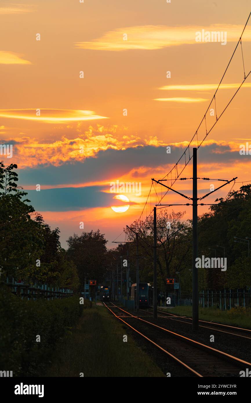 Wroclaw, Pologne - 11 mai 2024 : beau coucher de soleil nuageux avec un ciel coloré sur de hauts arbres et des lignes de tramway sur la rue avec des tramways à cheval Banque D'Images